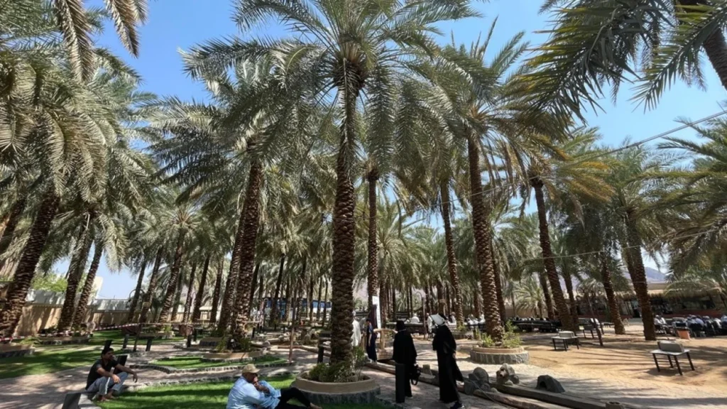 wisata religi sekitar Madinah